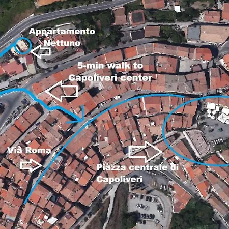 Nettuno